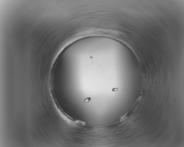 X0000062861531200601271517