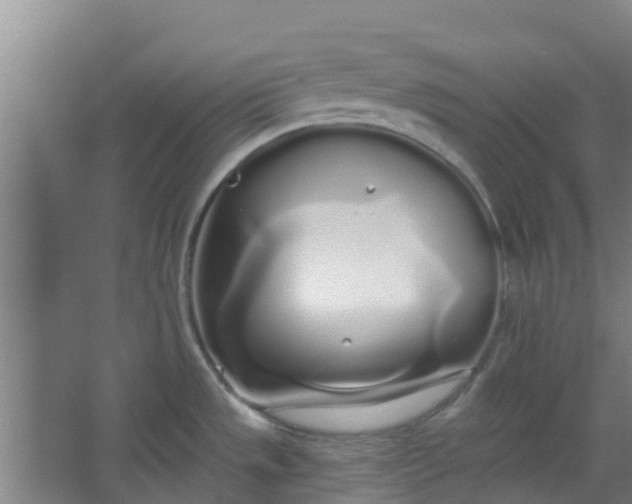 X0000062861533200601271517