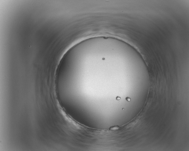 X0000062861534200601271517