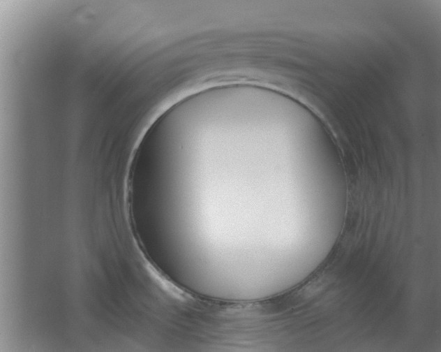 X0000062861535200601271517