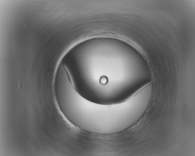 X0000062861536200601271517