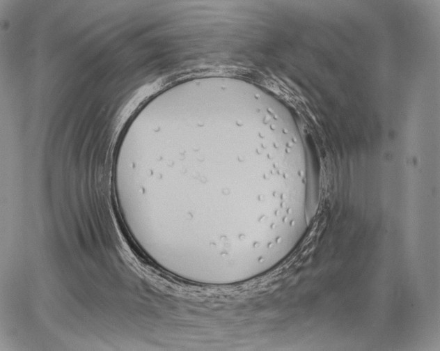X0000062860003200602031703