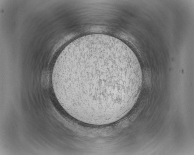 X0000062860016200602031703