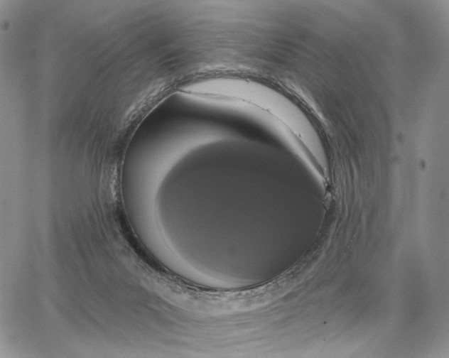 X0000062860023200602031703