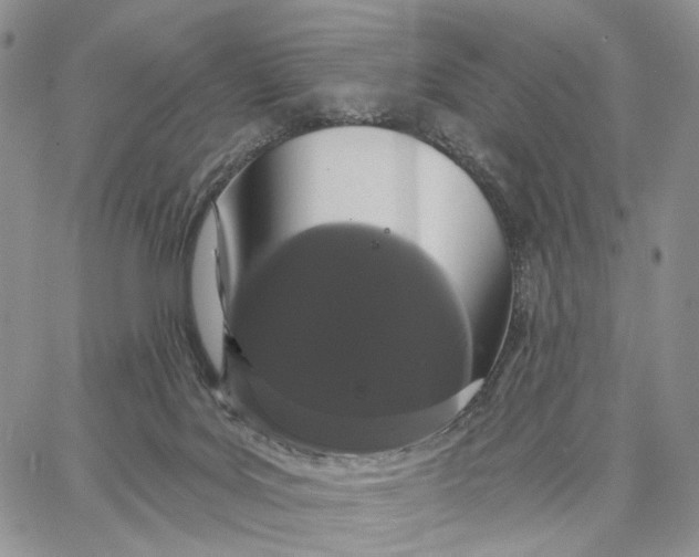 X0000062860027200602031703