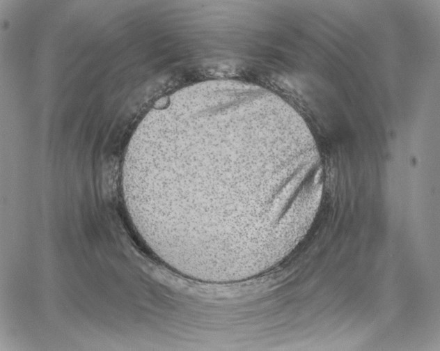 X0000062860030200602031703