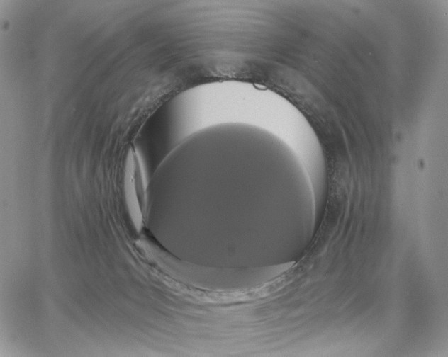 X0000062860031200602031703