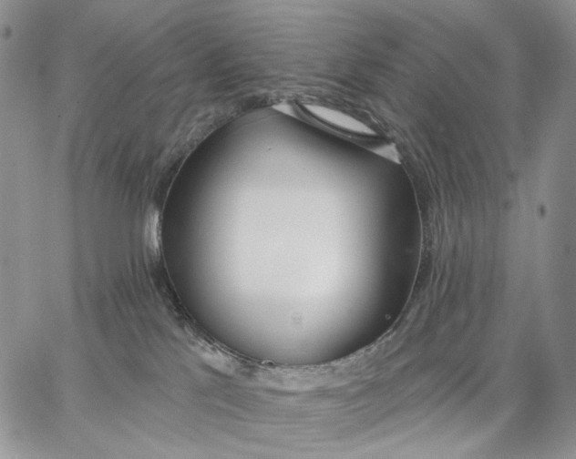 X0000062860041200602031703