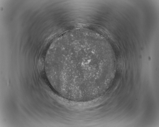X0000062860043200602031703