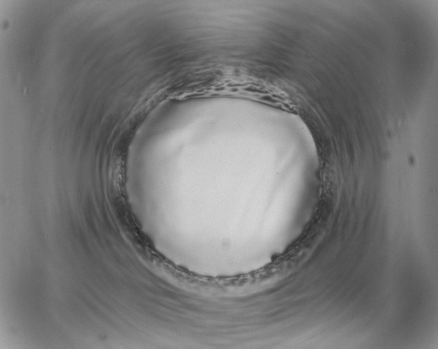 X0000062860046200602031702