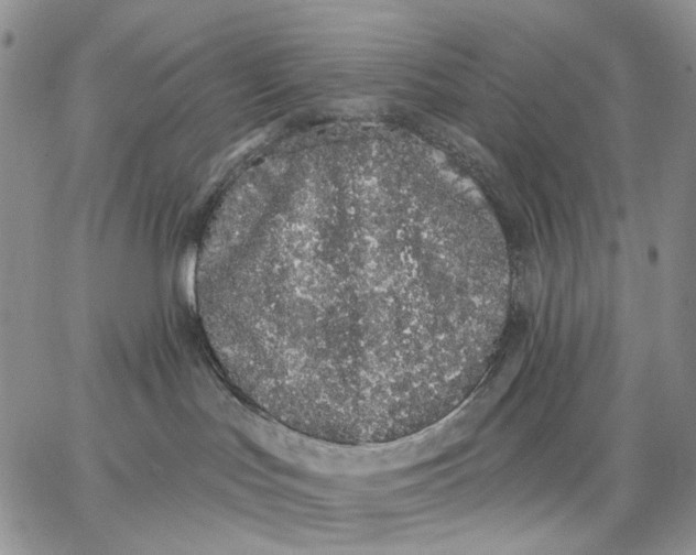 X0000062860047200602031702