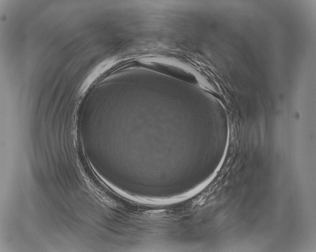 X0000062860054200602031702