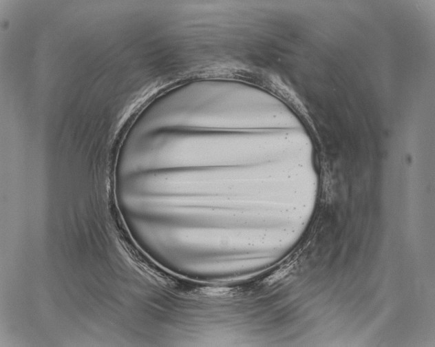 X0000062860059200602031702
