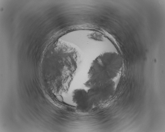 X0000062860061200602031702