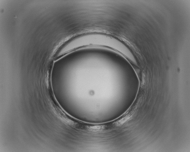 X0000062860064200602031702
