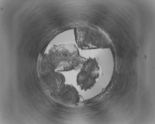 X0000062860065200602031702