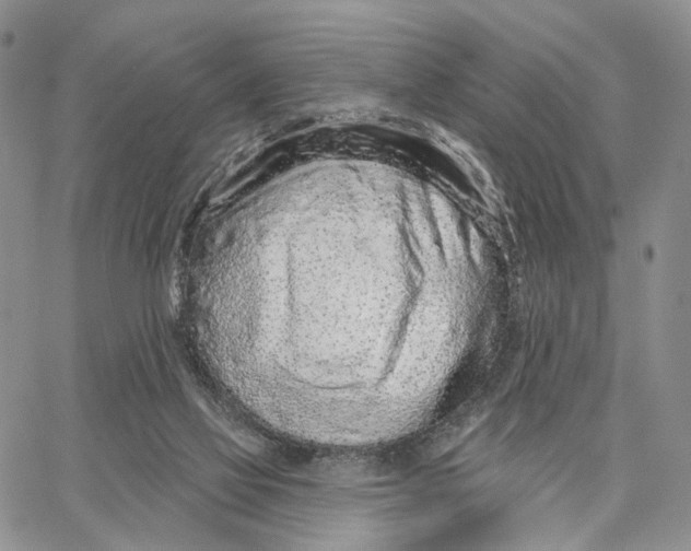 X0000062860069200602031702