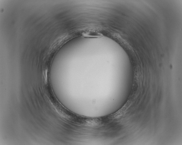 X0000062860070200602031702