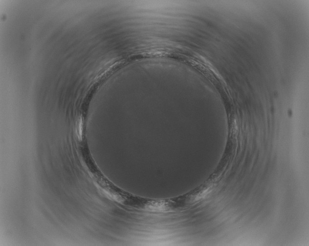 X0000062860076200602031702