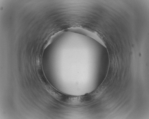 X0000062860084200602031702