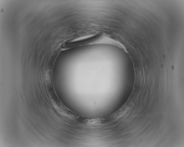 X0000062860088200602031702