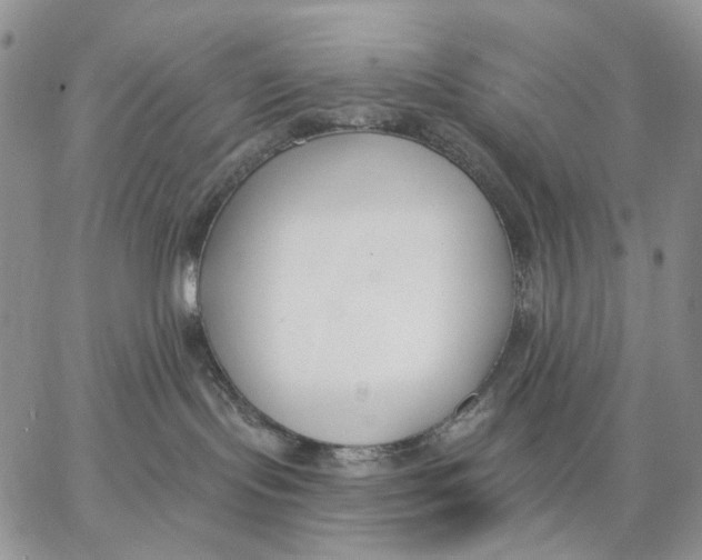 X0000062860095200602031702