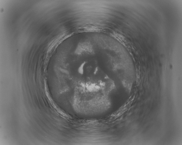 X0000062860097200602031702