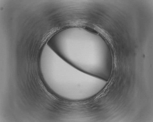 X0000062860105200602031702