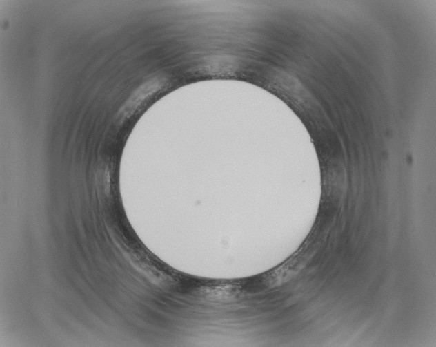 X0000062860120200602031701