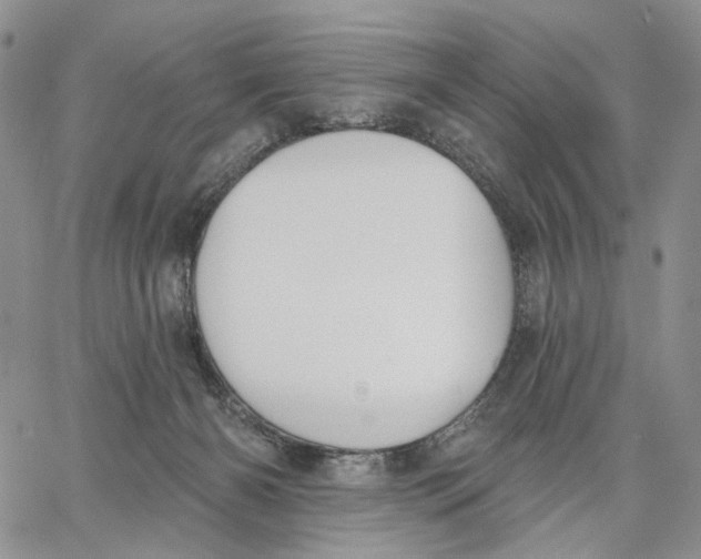 X0000062860126200602031701