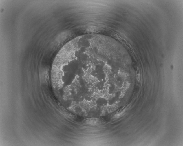 X0000062860127200602031701