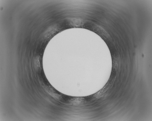 X0000062860128200602031701