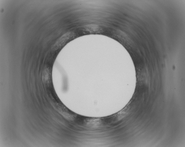 X0000062860132200602031701