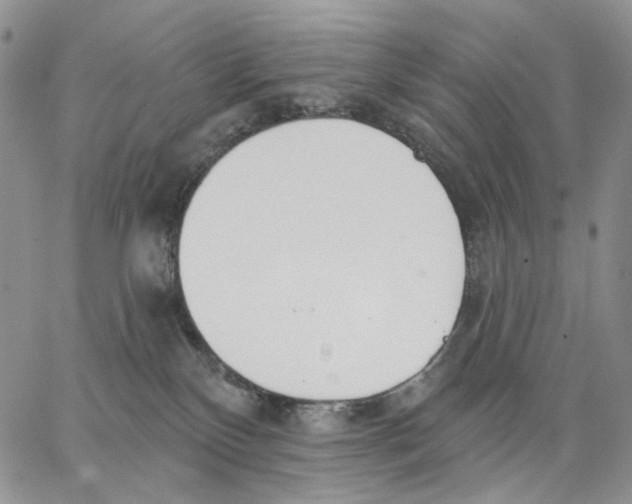 X0000062860136200602031701