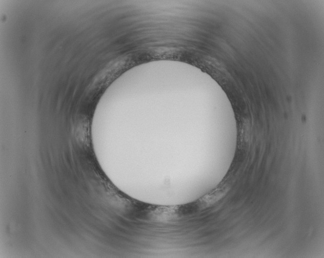 X0000062860138200602031701