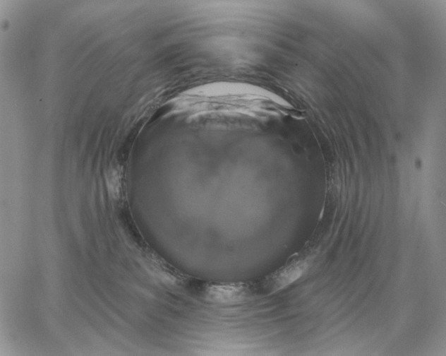 X0000062860139200602031701