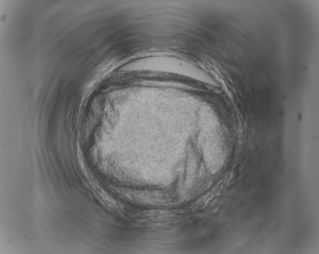 X0000062860145200602031700