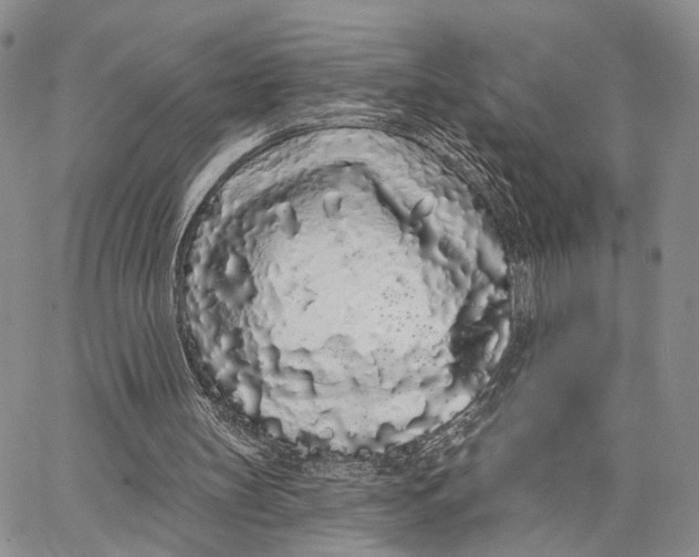 X0000062860147200602031700