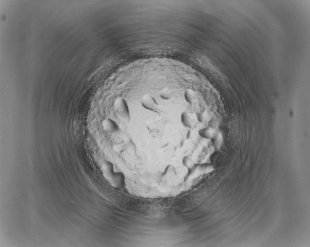 X0000062860165200602031700