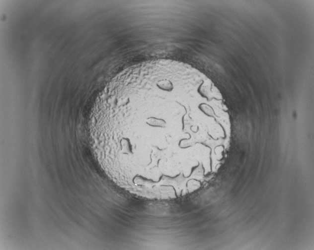 X0000062860181200602031701