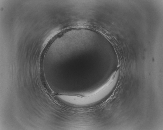 X0000062860200200602031700