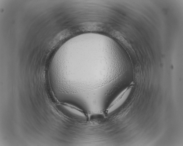 X0000062860207200602031700