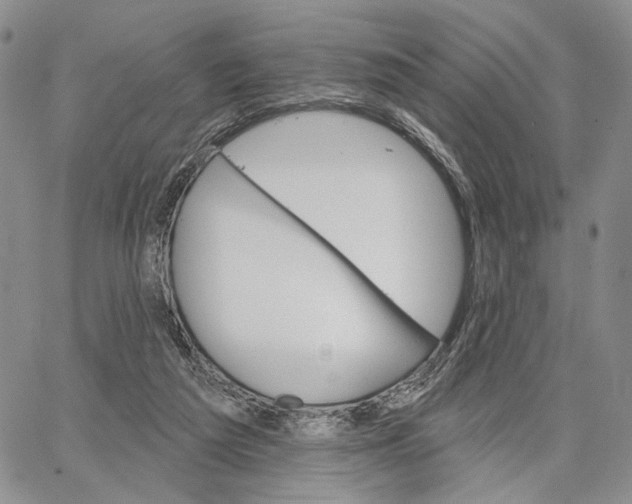 X0000062860209200602031700