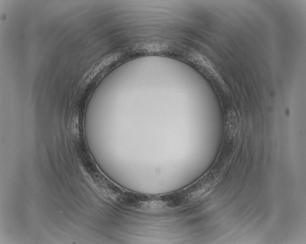 X0000062860212200602031700