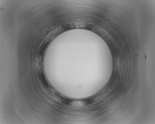 X0000062860218200602031700
