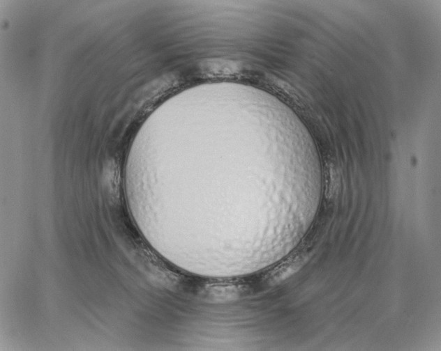 X0000062860228200602031700