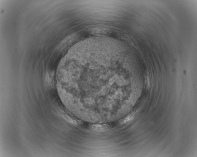 X0000062860239200602031659