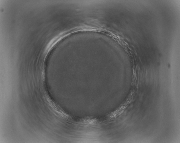 X0000062860247200602031659