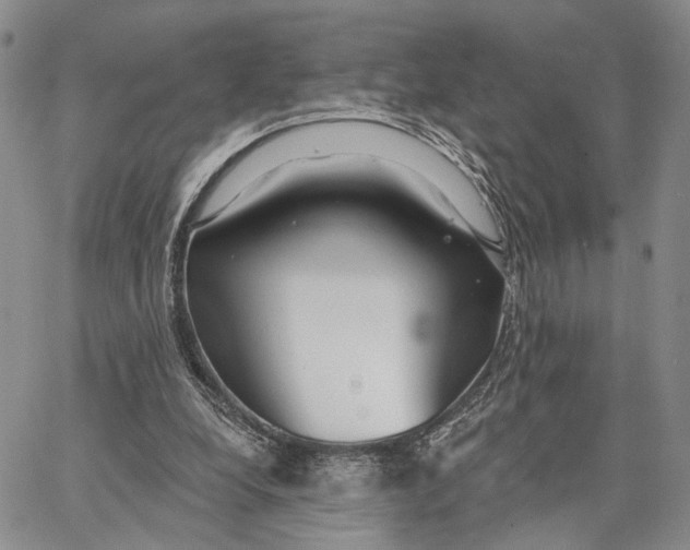X0000062860248200602031659