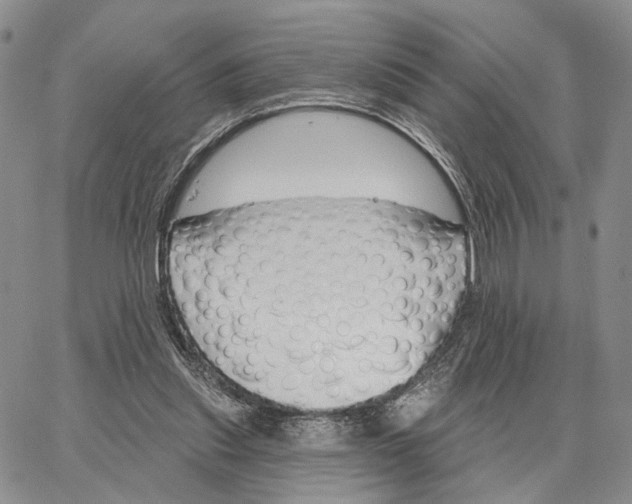 X0000062860253200602031659
